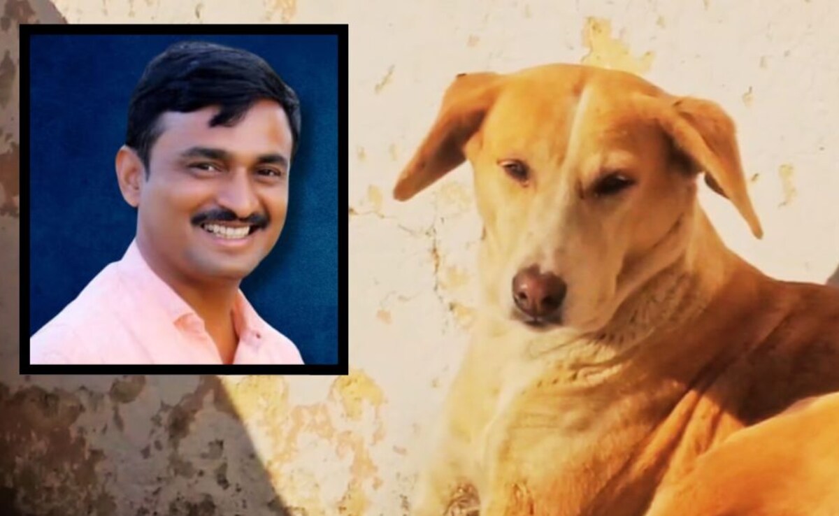 Latest and Breaking News on NDTV Latest and Breaking News on NDTV
