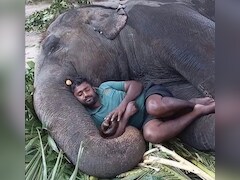 संडे के सुकून पर आनंद महिंद्रा का पोस्ट वायरल, L&T के चेयरमैन को हो सकती है चुभन