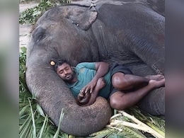 संडे के सुकून पर आनंद महिंद्रा का पोस्ट वायरल, L&T के चेयरमैन को हो सकती है चुभन