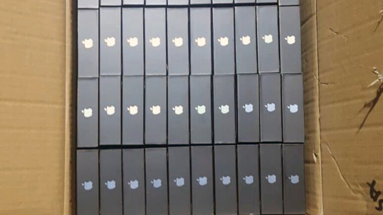 Uttarakhand Afforestation Funds Spent On iPhones, Laptops: Audit Report