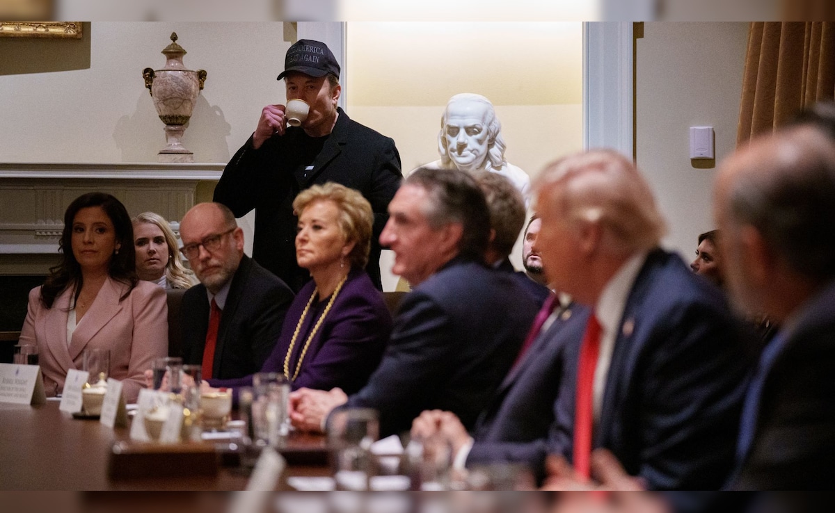 (डोनाल्ड ट्रंप की पहली कैबिनेट में एलन मस्क भी शामिल हुए) (डोनाल्ड ट्रंप की पहली कैबिनेट में एलन मस्क भी शामिल हुए)