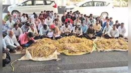 'खेत में खड़ी फसलों को कोई कीटनाशक डालकर कर रहा है बर्बाद', नाराज किसानों ने कलेक्ट्रेट में ऐसे किया प्रदर्शन