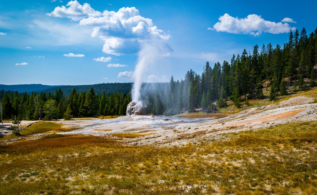 Lone Star Geyser. Photo: iStock