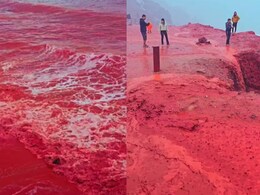 Hormuz island red beach : लालभडक 'रक्ताचा' पूर, होर्मुझ बेटावरील अंगावर काटा आणणारं दृश्य, पाहा Video