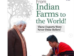 अब विदेशी भी उठा सकेंगे कटहल का स्वाद, जानें किस जगह से किया जाएगा एक्सपोर्ट अब विदेशी भी उठा सकेंगे कटहल का स्वाद, जानें किस जगह से किया जाएगा एक्सपोर्ट