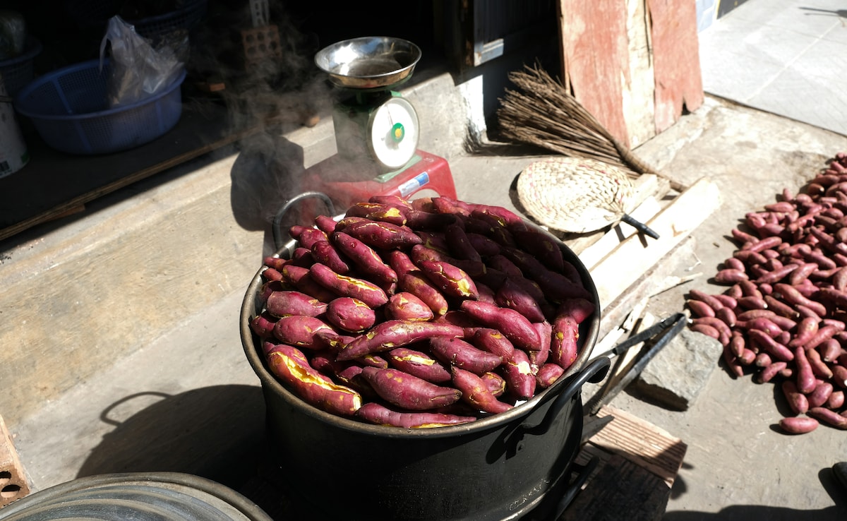 Shakarkand kya hai, Shakarkand khane ke fayde kya hain, Kya Madhumeh (Diabetes) rogi shakarkand kha sakte hain, kya shakarkand Madhumeh (Diabetes) rogiyon ke liye accha hai,Shakarkand aur aaloo mein kya antar hai, Kya shakarkand khaane se wazan badhta hai ya kam hota hai, Shakarkand khaane ka sahi samay aur tareeka kya hai, Shakarkand mein kitni calorie hoti hai,Shakarkand ki taasir garam hoti hai ya thandi, शकरकंद क्या है?,शकरकंद खाने के फायदे क्या हैं, क्या मधुमेह (Diabetes) रोगी शकरकंद खा सकते हैं, क्या शकरकंद मधुमेह (Diabetes) रोगियों के लिए अच्छा है, शकरकंद और आलू में क्या अंतर है, क्या शकरकंद खाने से वजन बढ़ता है या कम होता है, शकरकंद खाने का सही समय और तरीका क्या है, शकरकंद में कितनी कैलोरी होती है, शकरकंद की तासीर गर्म होती है या ठंडी, क्या शकरकंद को छीलकर खाना चाहिए या छिलके सहित, शकरकंद खाने के नुकसान क्या हैं, शकरकंद में कौन सा विटामिन सबसे ज्यादा होता है, शकरकंद में कौन-कौन से पोषक तत्व पाए जाते हैं, क्या शकरकंद वजन घटाने में मदद करता है, शकरकंद खाने का सबसे अच्छा तरीका क्या है, क्या शकरकंद की तासीर गर्म होती है, क्या शकरकंद को छीलकर खाना चाहिए या छिलके सहित, शकरकंद को कब खाना सबसे अच्छा होता है (समय), शकरकंद का अधिक सेवन करने से क्या नुकसान हो सकता है, क्या शकरकंद कब्ज (Constipation) में मदद करता है, कच्चा शकरकंद के फायदे और नुकसान, शकरकंद कितनी देर तक उबालना चाहिए, क्या शकरकंद खाने से त्वचा (Skin) को फायदा होता है, क्या शकरकंद दिल (Heart) के लिए अच्छा है, क्या शकरकंद खाने से गैस या ब्लोटिंग (Bloating) हो सकती है, शकरकंद का सबसे पौष्टिक रंग कौन सा होता है, क्या शकरकंद बच्चों के लिए सुरक्षित है, शकरकंद को लंबे समय तक कैसे स्टोर करें, शकरकंद खाने से शरीर को क्या तुरंत ऊर्जा मिलती है, Latest and Breaking News on NDTV