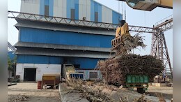 सहकारी शक्कर कारखानों से उठ रहा किसानों को भरोसा! यहां बेचना पड़ रहा है गन्ना, क्या है वजह?