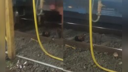 Video: रेल की पटरियों पर सोता रहा युवक, ऊपर से गुजर गई ट्रेन, फिर जो हुआ... &nbsp;
