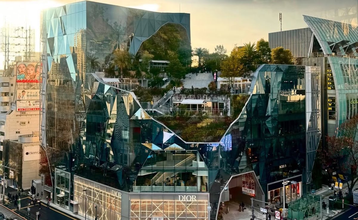 Photo: Instagram/masumikokoko Photo: Instagram/masumikokoko