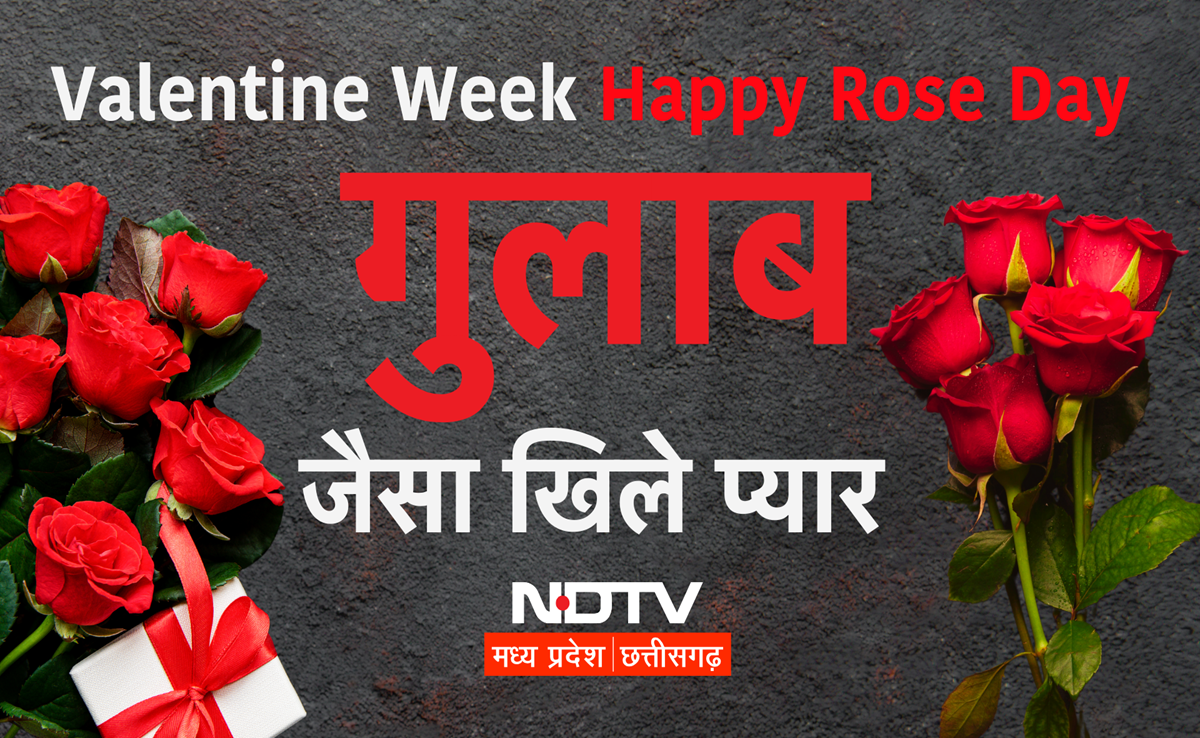 Happy Rose Day 2025: क्यों खास है गुलाब? वैलेंटाइन वीक की शुरुआत, मैसेज से गिफ्ट तक सब कुछ जानिए यहां