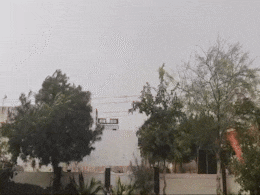 Rajasthan Rain: राजस्थान में ओले गिरने से फिर हुई ठंडक, बीकानेर सहित इन जिलों में बारिश का अलर्ट Rajasthan Rain: राजस्थान में ओले गिरने से फिर हुई ठंडक, बीकानेर सहित इन जिलों में बारिश का अलर्ट