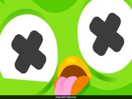 Real Reason Behind Duolingo Owl's Death Revealed As Dua Lipa Reacts Real Reason Behind Duolingo Owl's Death Revealed As Dua Lipa Reacts