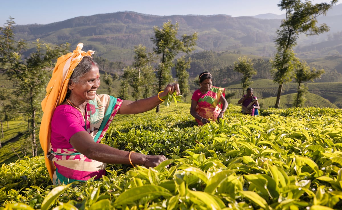 Те не го наричат ​​ собствена държава на Бог за нищо