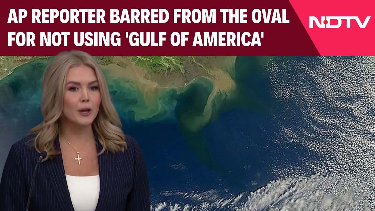 Trump Musk Oval Office | White House Defends Blocking AP Reporter From The Oval