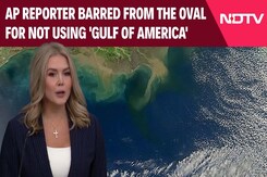 Trump Musk Oval Office | White House Defends Blocking AP Reporter From The Oval Trump Musk Oval Office | White House Defends Blocking AP Reporter From The Oval