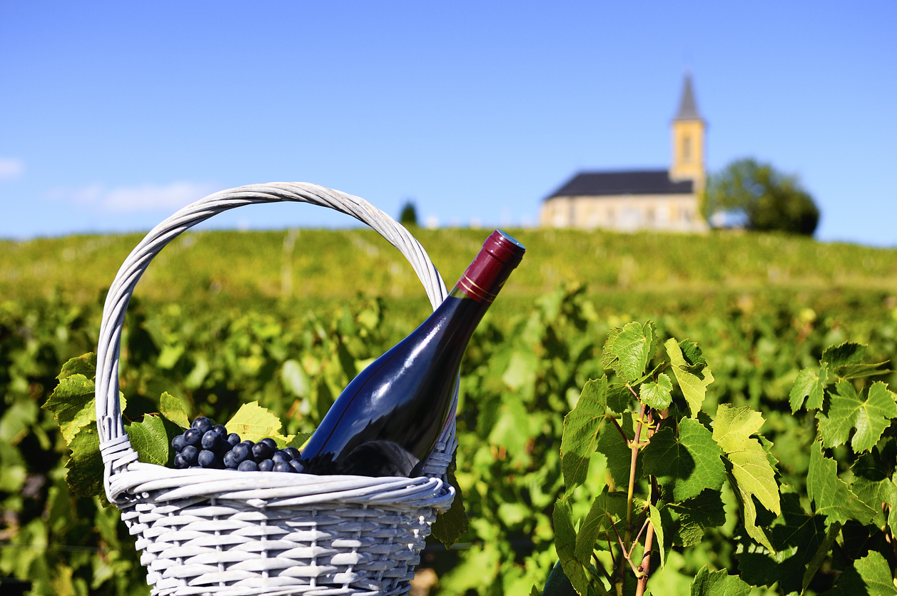 Photo: iStock Photo: iStock