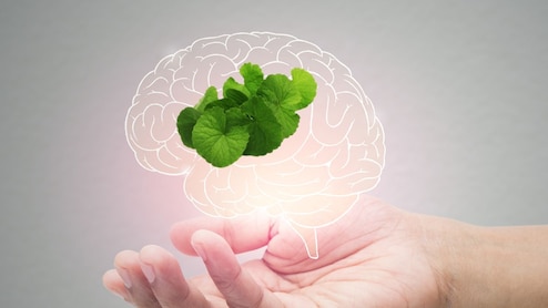 Nutritionist Shares How Brahmi Promotes Calmness, Emotional Balance, And Uplifts Mood