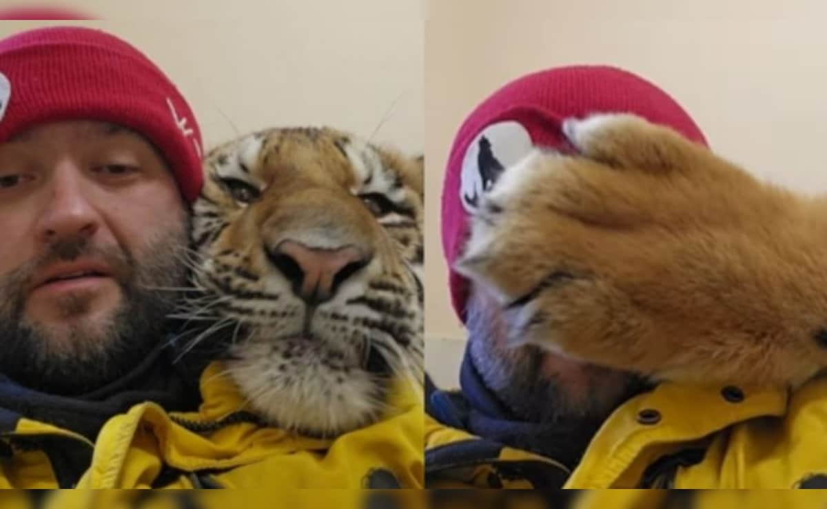 Latest and Breaking News on NDTV Latest and Breaking News on NDTV