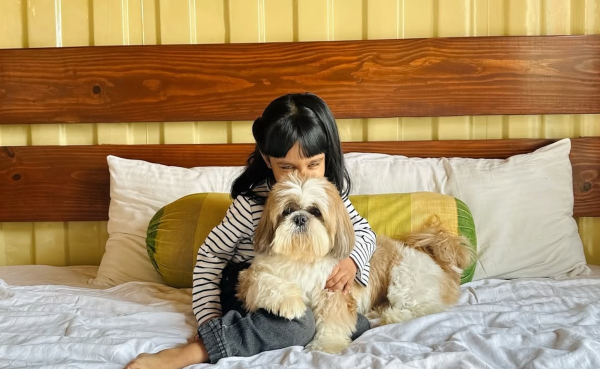 Photo: Instagram/Tree of Life Resort & Spa, Jaipur Photo: Instagram/Tree of Life Resort & Spa, Jaipur