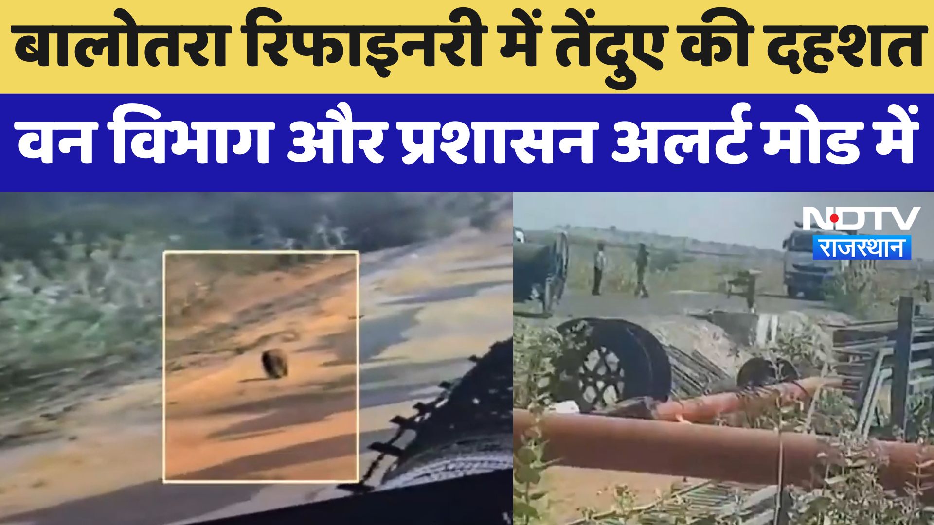 Balotra Refinery में तेंदुए की दहशत वन विभाग और प्रशासन Alert Mode में