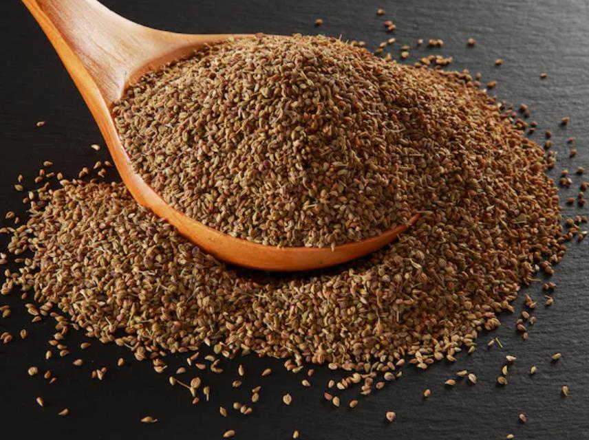 Ajwain or carom seeds should complement medical treatment, not replace it