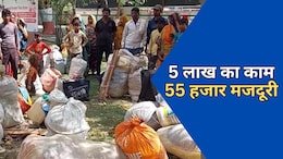 Rajasthan: वन विभाग में भारी भ्रष्टाचार, 35 मजदूरों के 5 लाख रुपये की मजदूरी के बदले दिये 55 हजार