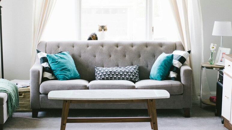 Flipkart से बजट में खरीदें स्टाइलिश Sofa Bed, शानदार डिज़ाइनों के साथ मिलेगा हाई क्वालिटी मटेरियल Flipkart से बजट में खरीदें स्टाइलिश Sofa Bed, शानदार डिज़ाइनों के साथ मिलेगा हाई क्वालिटी मटेरियल