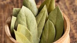 5 Health Benefits Of Bay Leaf Or Tej Patta