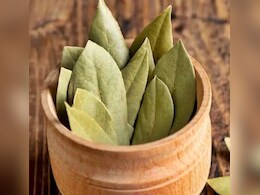 तेजपत्ता है बड़ा तेज, पेट की समस्या से लेकर तनाव कम करने में... कई तरह से है फायदेमंद