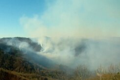 Wildfires Burn Over 3,300 Acres In US Wildfires Burn Over 3,300 Acres In US