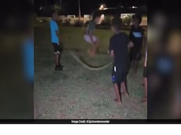 Children Use Dead Snake As Skipping Rope In Viral Video From Australia, Probe Launched Children Use Dead Snake As Skipping Rope In Viral Video From Australia, Probe Launched