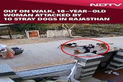 18-Year-Old Woman Attacked By 10 Stray Dogs In Rajasthan's Alwar 18-Year-Old Woman Attacked By 10 Stray Dogs In Rajasthan's Alwar
