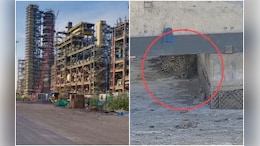 Leopard Terror: राजस्थान की सबसे बड़ी रिफाइनरी में 'गुम' हुआ तेंदुआ, 4 दिन से तलाश जारी; अब ढूंढे से भी नहीं मिले पैरों के निशान