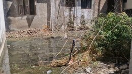 7 दिन में 700 से ज्यादा लोग बीमार !&nbsp;MP के इस जिले में अचानक से फ़ैल रही ये बीमारी