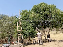 रात होते ही खुदाई कर मुगलों के सोने के सिक्के ढूंढने लगा था पूरा गांव, प्रशासन ने खेत में लगाए CCTV कैमरे रात होते ही खुदाई कर मुगलों के सोने के सिक्के ढूंढने लगा था पूरा गांव, प्रशासन ने खेत में लगाए CCTV कैमरे