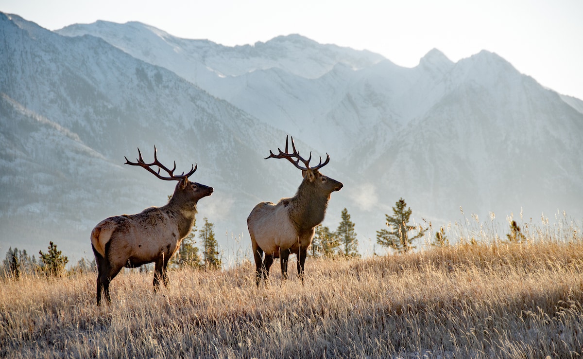 Canada. Photo: iStock Canada. Photo: iStock