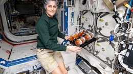 'Like Diwali, Holi': Sunita Williams' Ancestral Village In Gujarat To Celebrate Her Return
