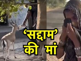 ममता इसे कहते हैं! मुस्लिम परिवार ने लावारिस नन्हा हिरण पाला, बिश्नोई युवा लेने आए तो रोने लगी 'सद्दाम' की मां