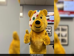 British Woman Who Changed Her Name To 'Pudsey Bear' Can't Get A Passport British Woman Who Changed Her Name To 'Pudsey Bear' Can't Get A Passport