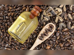 अरंडी के तेल के फायदे और नुकसान | Castor Oil (Arandi ka tel): Benefits, Side Effects in Hindi