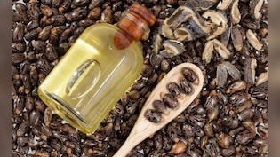 सिर्फ कब्ज के लिए नहीं, शरीर के इन 5 हिस्सों पर Castor Oil लगाने से मिल सकते हैं चौंकाने वाले फायदे