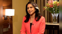Tulsi Gabbard's Intelligence Task Force Accused Of "Witch Hunt"