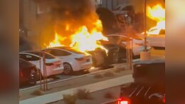 Elon Musk Blames "Trans People" For Tesla Vandalism