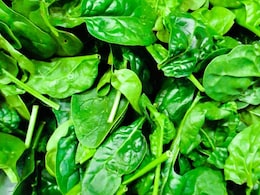 15 दिन तक रोज पालक की सब्जी खाने से क्या होगा? कौन-से विटामिन मिलेंगे, त्वचा को ग्लोइंग बनाता है, जानें खाने का सही तरीका