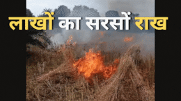 आपसी रंजिश पहुंची खेत तक... बदला लेने के लिए सरसों की खेत में लगाई आग, दमकल की गाड़ी पहुंची