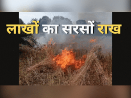 आपसी रंजिश पहुंची खेत तक... बदला लेने के लिए सरसों की खेत में लगाई आग, दमकल की गाड़ी पहुंची आपसी रंजिश पहुंची खेत तक... बदला लेने के लिए सरसों की खेत में लगाई आग, दमकल की गाड़ी पहुंची