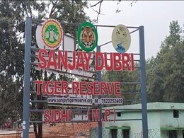 Sidhi News: सीधी कलेक्टर के खिलाफ की गई शिकायत निकली झूठी! जांच में ये बात आयी सामने, जानिए क्या आरोप लगे थे? Sidhi News: सीधी कलेक्टर के खिलाफ की गई शिकायत निकली झूठी! जांच में ये बात आयी सामने, जानिए क्या आरोप लगे थे?