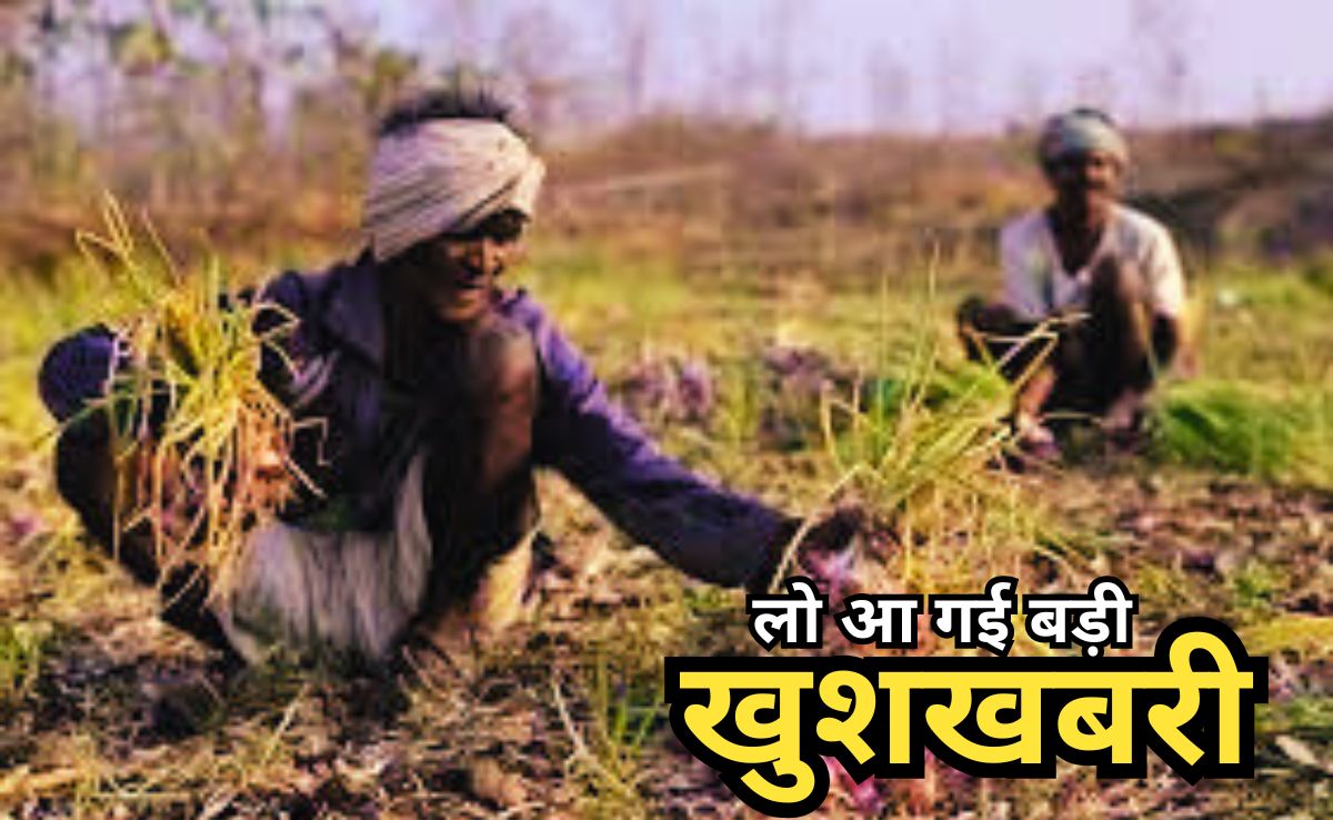 प्याज किसानों की बल्ले-बल्ले, केंद्रीय कृषि मंत्री का बड़ा ऐलान, अब नहीं देना होगा एक्सपोर्ट ड्यूटी