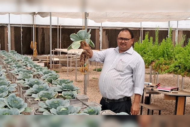 इस केंद्र में हाईब्रिड बीज तैयार किए जा रहे हैं इस केंद्र में हाईब्रिड बीज तैयार किए जा रहे हैं