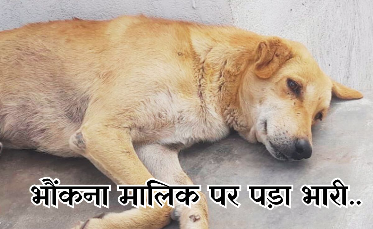 कुत्ते के भौंकने को लेकर खड़ा हुआ विवाद, लाठी-डंडों से पीट-पीटकर पति-पत्नी की ले ली जान